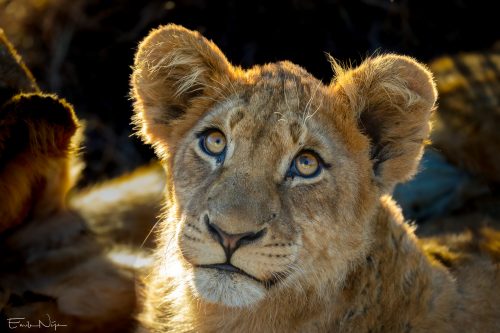 EgN_2025-07-31_3041 kopie