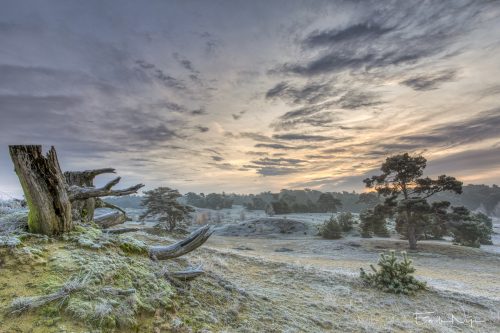 EgN 2019-12-01 1756-bewerkt