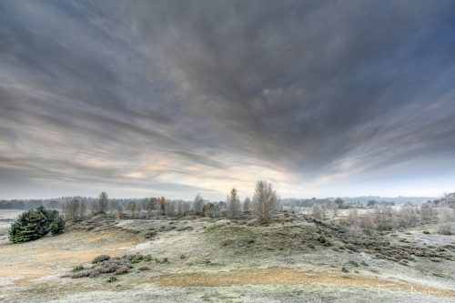 EgN 2019-12-01 1786-bewerkt-bewerkt