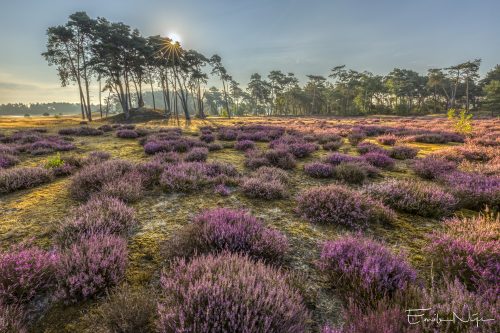 EgN 2022-08-16 2929-HDR